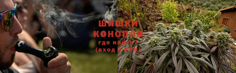 где купить наркоту  Бирюсинск  Каннабис конопля 